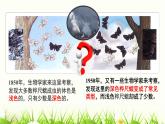初中 初二 生物 《生物进化的原因》实验 课件