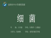 初中 初二 生物 《细菌》 课件