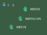 初中 初二 生物 《细菌》 课件