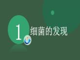 初中 初二 生物 《细菌》 课件