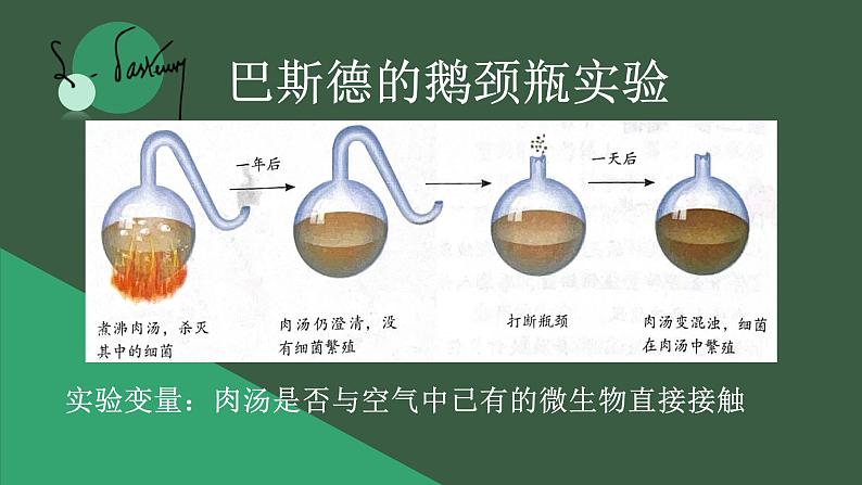 初中 初二 生物 《细菌》 课件第7页