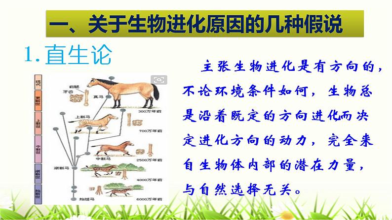 初中 初二 生物 《生物进化的原因》 课件第5页