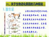 初中 初二 生物 《生物进化的原因》 课件