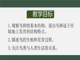 初中 初二 生物 《鸟的生殖和发育》课件