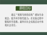 初中 初二 生物 《鸟的生殖和发育》课件