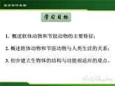 初中 初二 生物 《软体动物和节肢动物》 课件