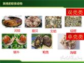 初中 初二 生物 《软体动物和节肢动物》 课件