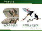 初中 初二 生物 生物进化的历程 授课课件