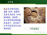 初中 初二 生物 生物进化的历程 授课课件