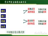 初中 初二 生物 生物进化的历程 授课课件