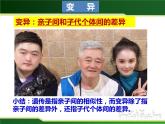 初中 初二 生物 基因控制生物的性状 教学课件