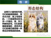 初中 初二 生物 基因控制生物的性状 教学课件