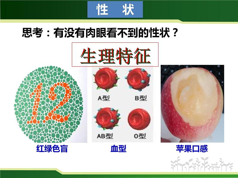 初中 初二 生物 基因控制生物的性状 教学课件08