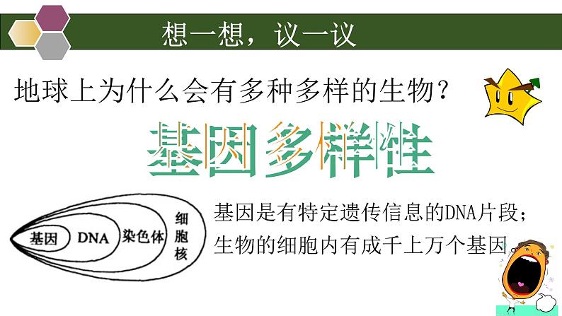 初中 初二 生物 认识生物的多样性 —授课课件08