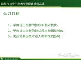 初中 初二 生物 基因控制生物的性状 ppt 课件