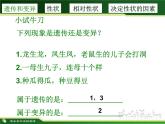 初中 初二 生物 基因控制生物的性状 ppt 课件