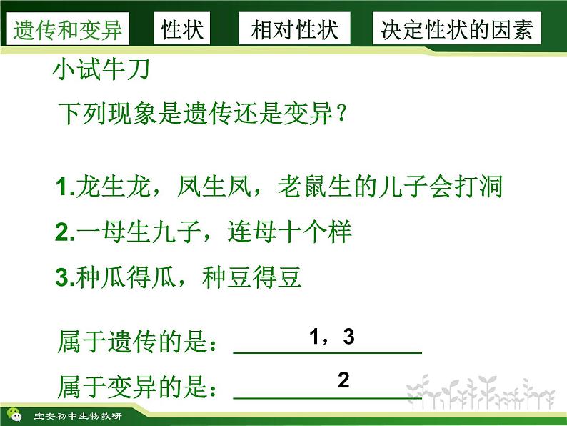 初中 初二 生物 基因控制生物的性状 ppt 课件第5页