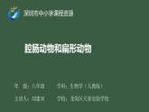初中 初二 生物 腔肠动物和扁形动物 ppt课件