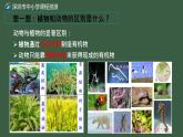 初中 初二 生物 腔肠动物和扁形动物 ppt课件