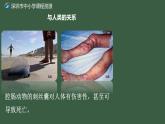初中 初二 生物 腔肠动物和扁形动物 ppt课件
