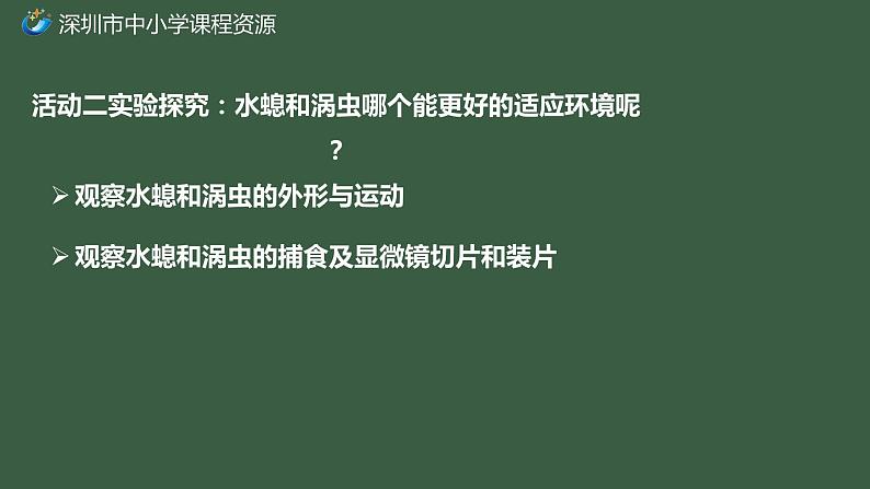 初中 初二 生物 腔肠动物和扁形动物 ppt课件07