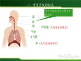 初中 初二 生物 呼吸道对空气的处理 课件