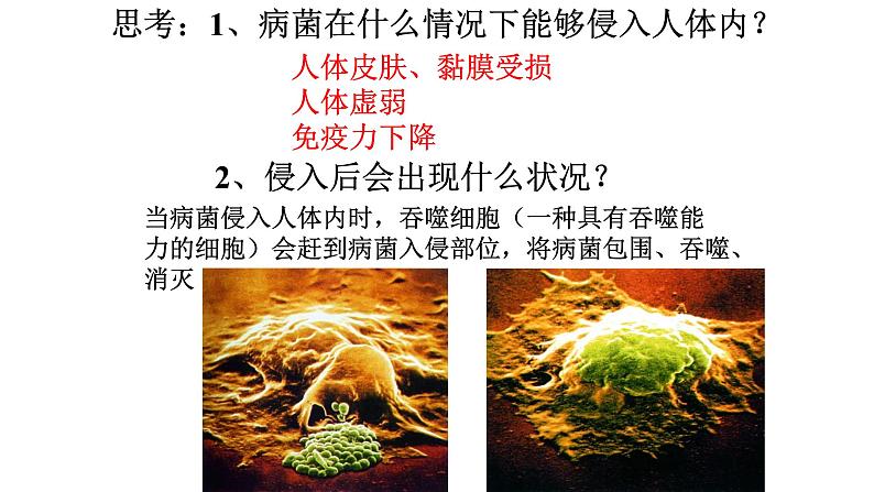 初中 初二 生物 免疫与计划免疫 课件第8页