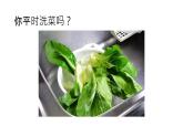 初中 初二 生物 昆虫的生殖和发育 课件
