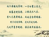 初中 初二 生物 鸟 ppt课件