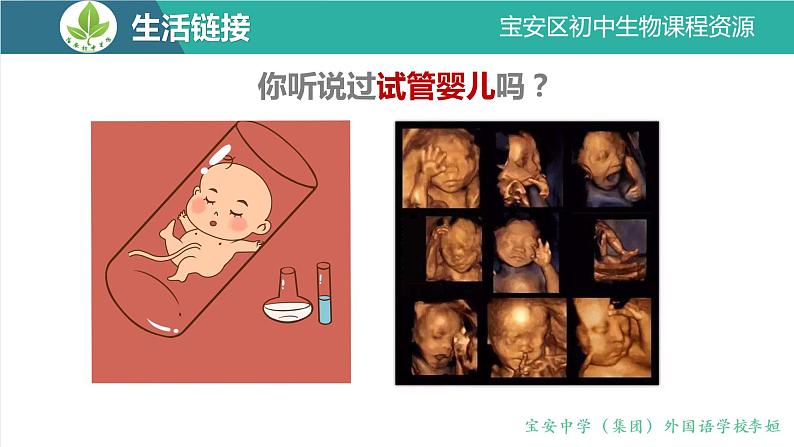 初中 初二 生物 人的生殖  课件02