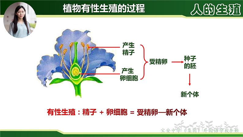 初中 初二 生物 人的生殖— 课件第4页