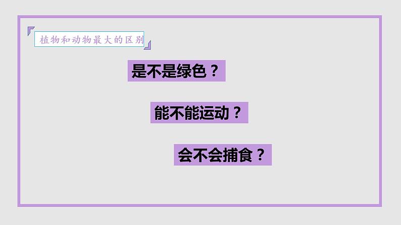 初中生物 人教八上 腔肠动物和扁形动物 课件03