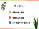 初中生物  八年级 植物的生殖（PPT） 课件