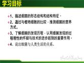 初中生物 人教版 八年级上 《细菌》 课件
