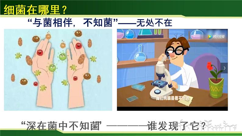 初中生物 人教版 八年级上 《细菌》 课件第3页