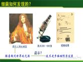 初中生物 人教版 八年级上 《细菌》 课件
