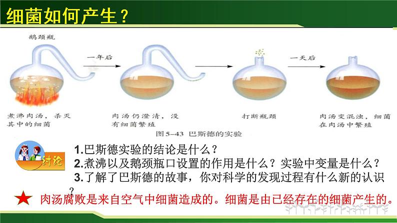 初中生物 人教版 八年级上 《细菌》 课件第7页