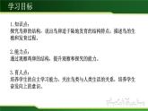 初中生物 人教版 八年级下册 生物 鸟的生殖和发育 PPT课件