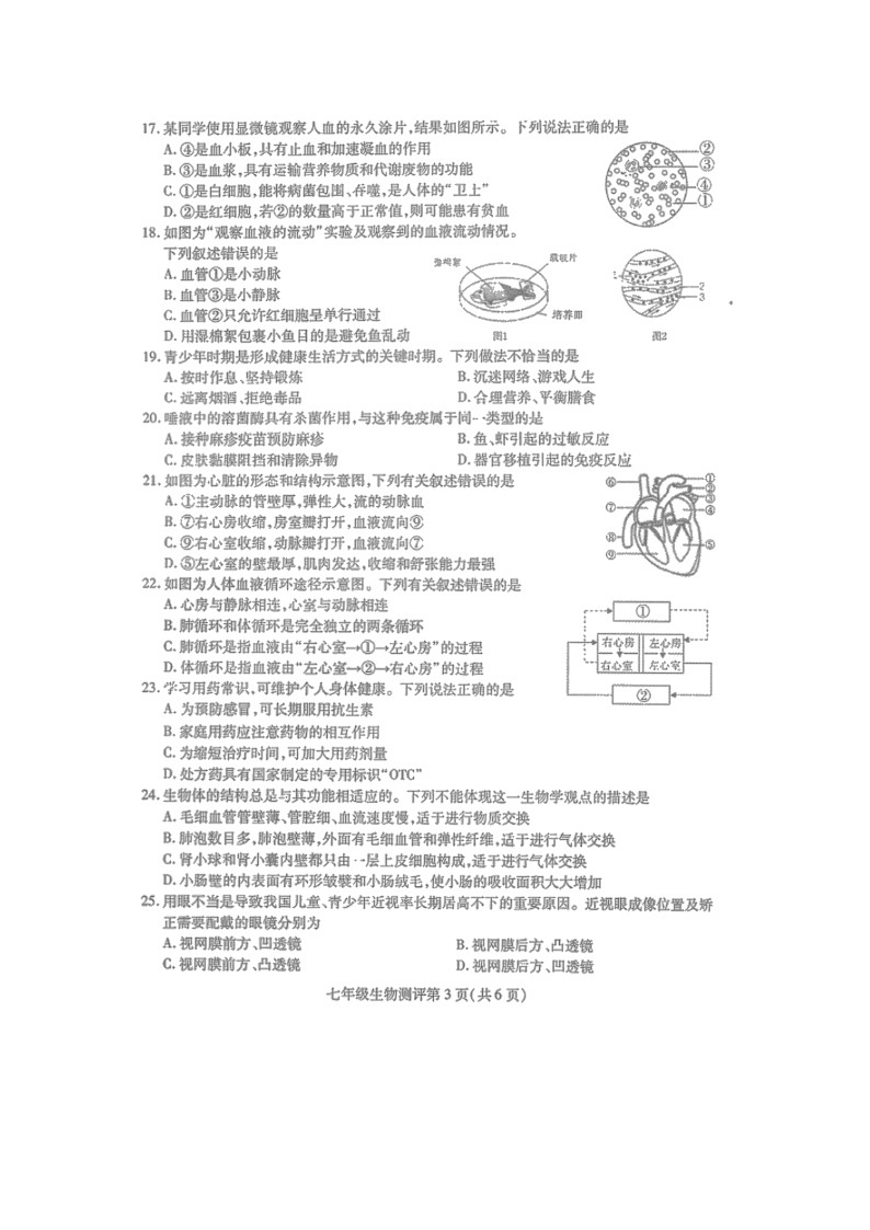 四川省内江市2021-2022学年七年级下学期期末生物试题（无答案）03