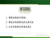 初中 初二 生物 生物进化的原因  课件