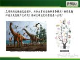 初中 初二 生物 生物进化的原因  课件