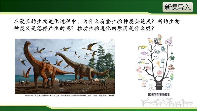 初中 初二 生物 生物进化的原因  课件第3页