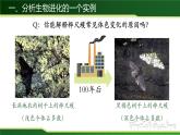 初中 初二 生物 生物进化的原因  课件