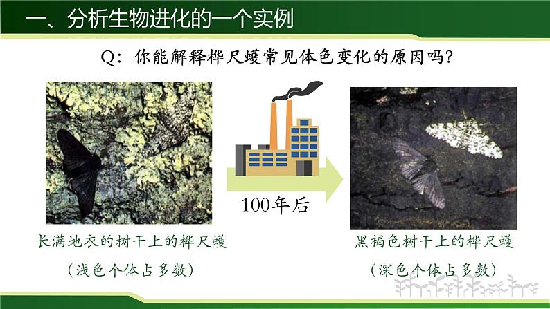 初中 初二 生物 生物进化的原因  课件第4页