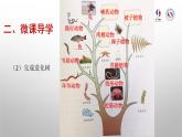 初中 初二 生物 生物进化的历程—学习指引 课件