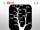 初中 初二 生物 生物进化的历程—学习指引 课件