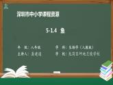 初中 初二 生物 鱼 课件