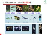 初中 初二 生物 鱼 课件
