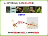 初中 初二 生物 鱼 课件