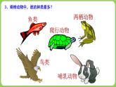 初中 初二 生物 鱼 课件